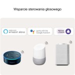 wsparcie_asystenta_glosowego.jpg