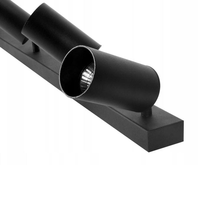 SZYNA CZARNA 6_2.jpg