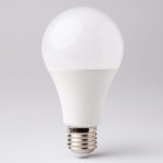 zarowka_led_e27_15w_ecolight_2.jpg