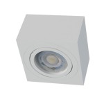 caro_biala_4-Photoroom.jpg
